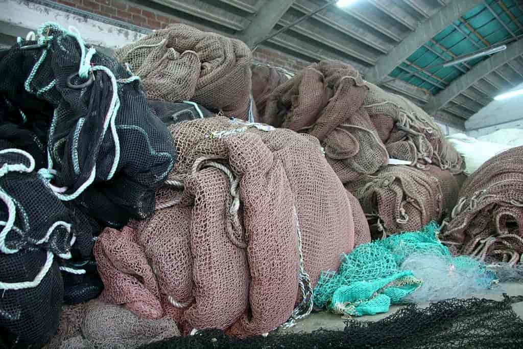 Costumi eco dalle reti da pesca abbandonate in mare